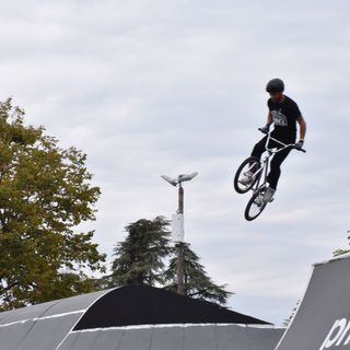 DSC_0056 - copie.jpeg