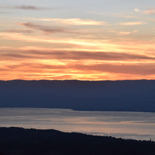 DSC_0010_R.jpeg