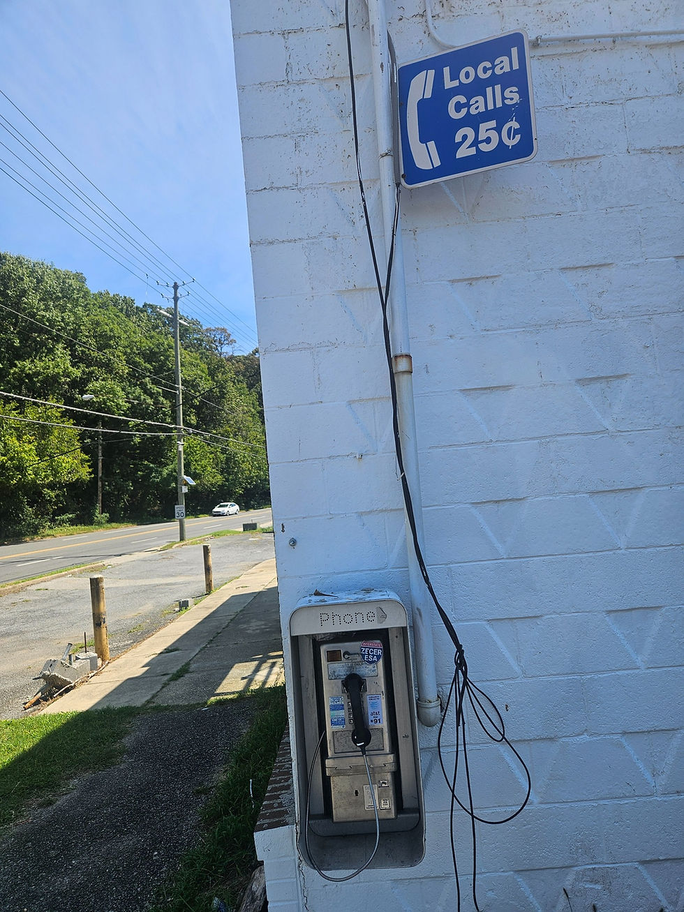 Pay Phones were once as common as neighborhood Village Patries. No Longer. They're working number has dwindled down to just this one. As such, the mighty pay phone is destined to live out its days as a species in so-called "living-fossil-hood." DNA can't save it either, as Pay Phones have none.