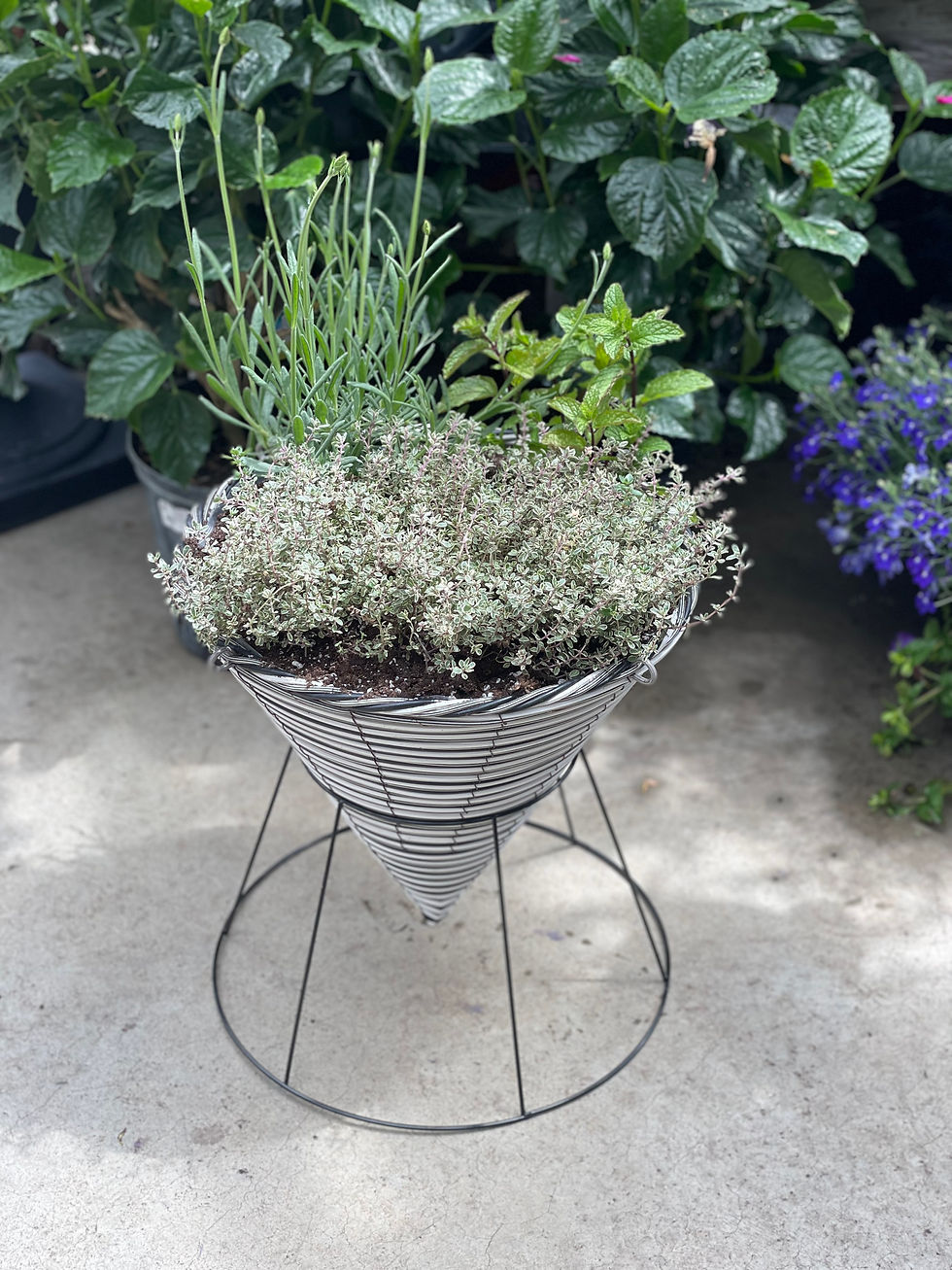 Make Your Own Herb Planter
