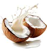 Delicious fresh organic coconut cracked in half and splashing