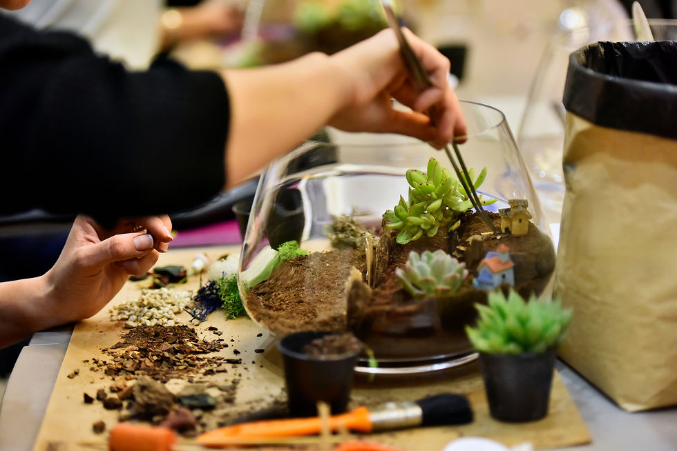 Build a terrarium