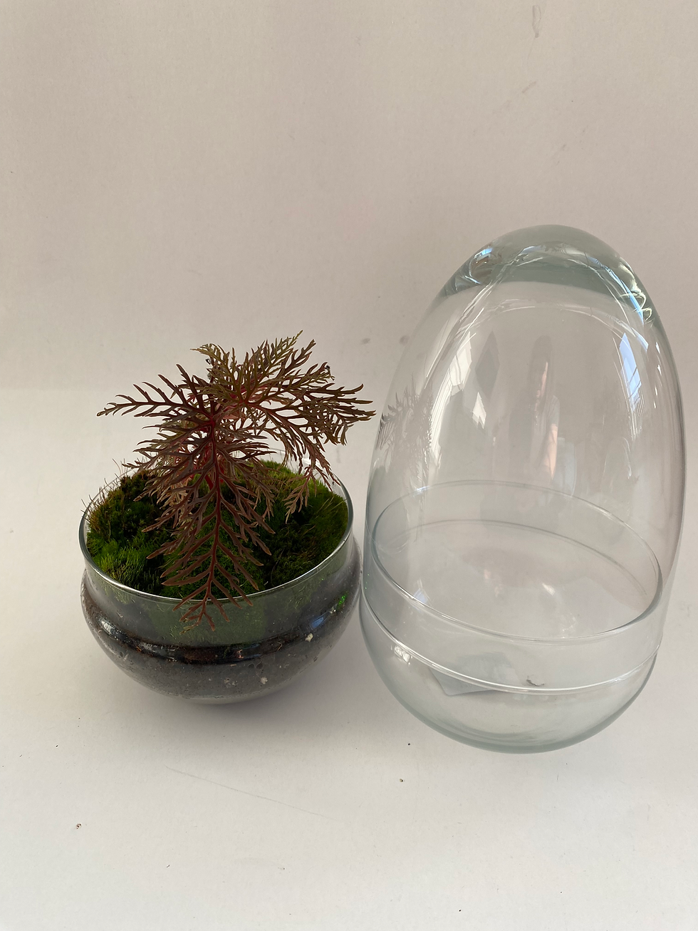 Thumbnail: Egg glass dome