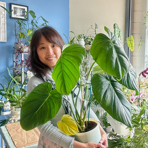Jess in her jungle house