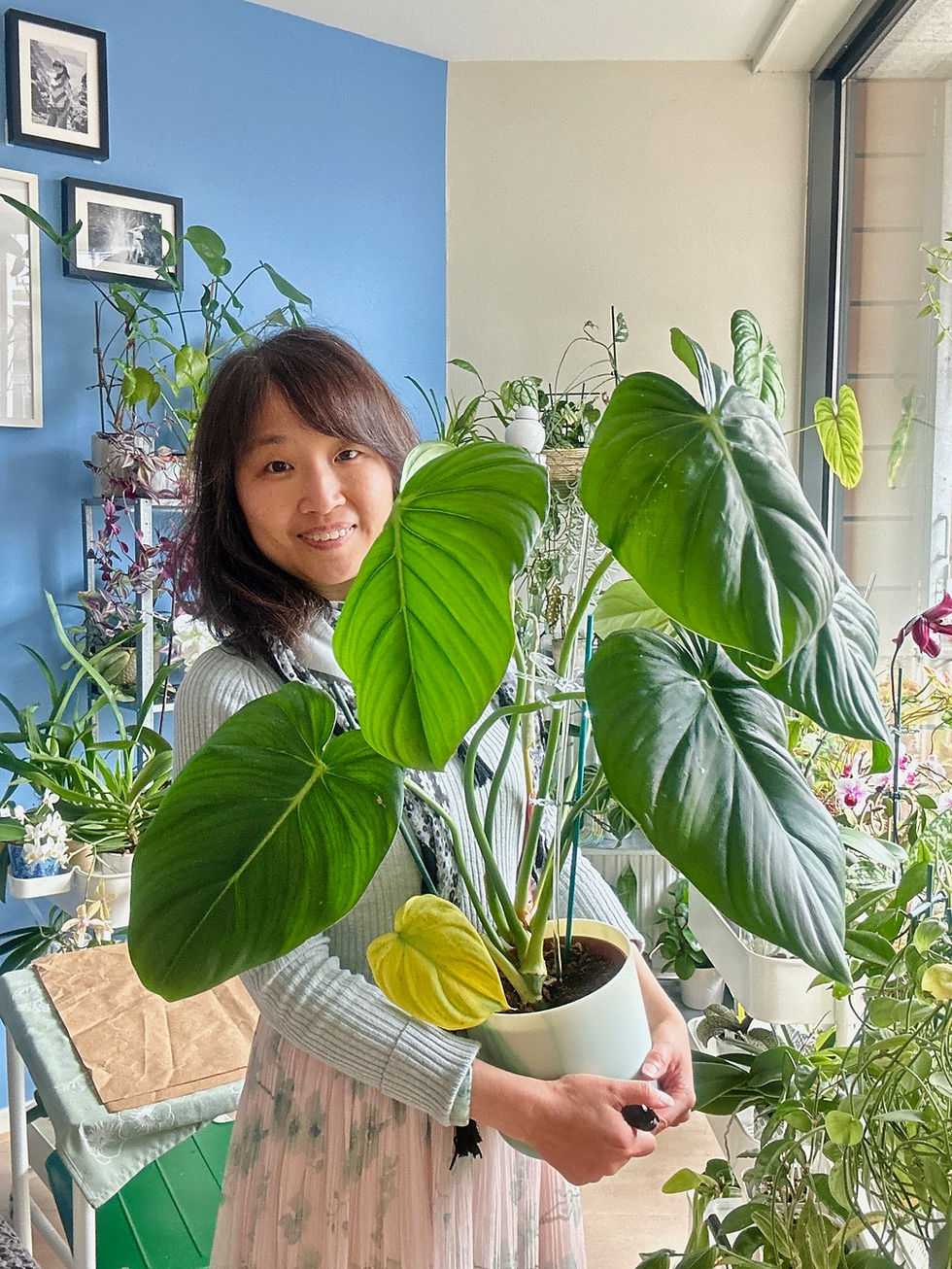 Jess and one of her stunning plants.