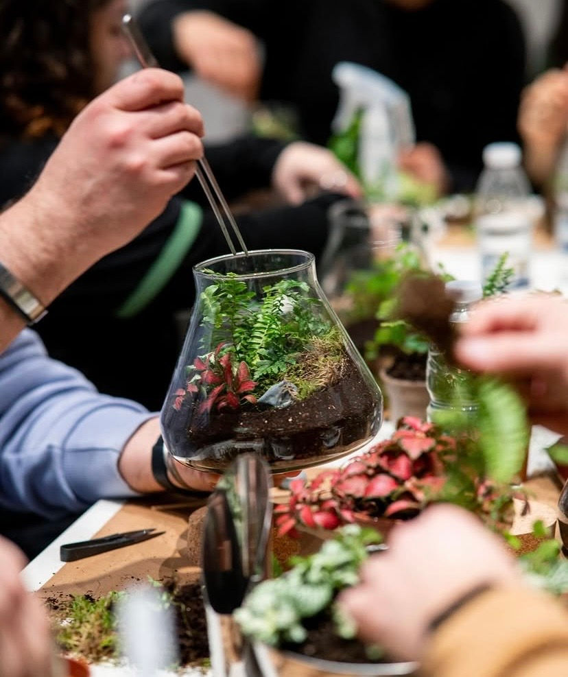 Build your own Terrarium