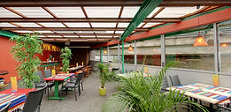 Cactus Garten.JPG