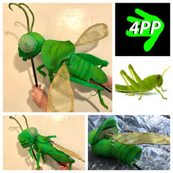 Grasshopper