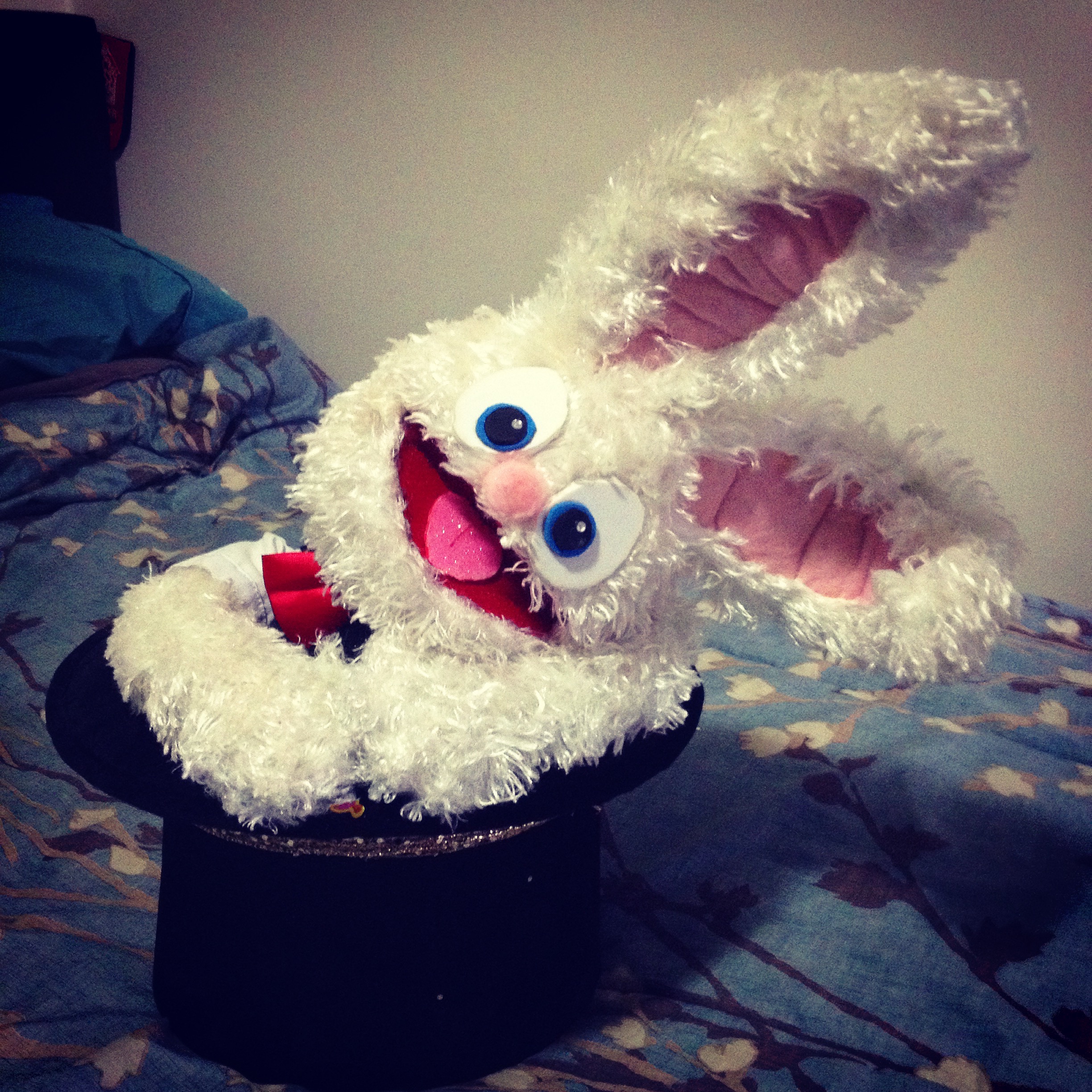Oscar the Magic Rabbit