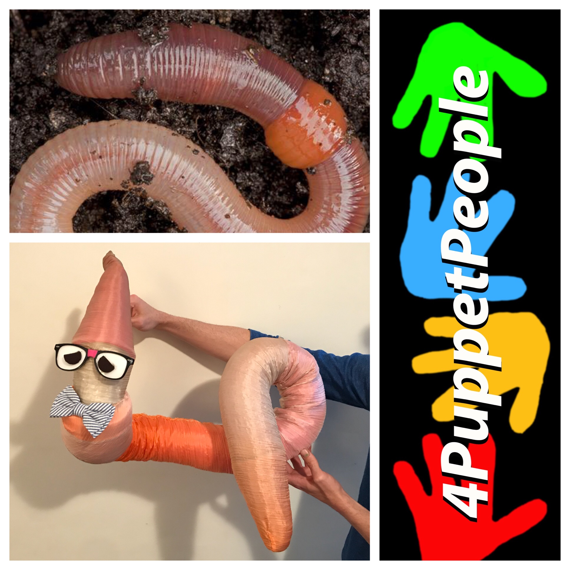 Earthworm