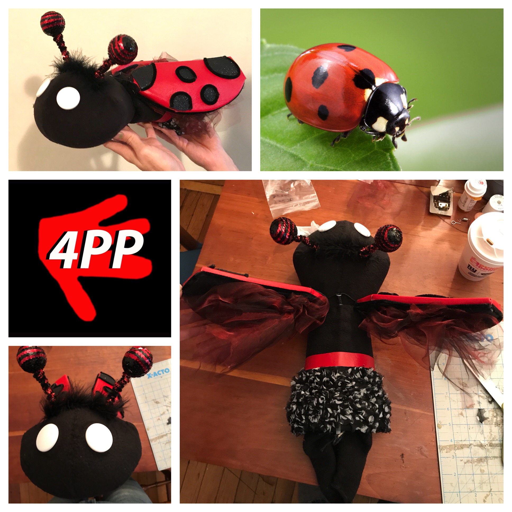 Ladybug