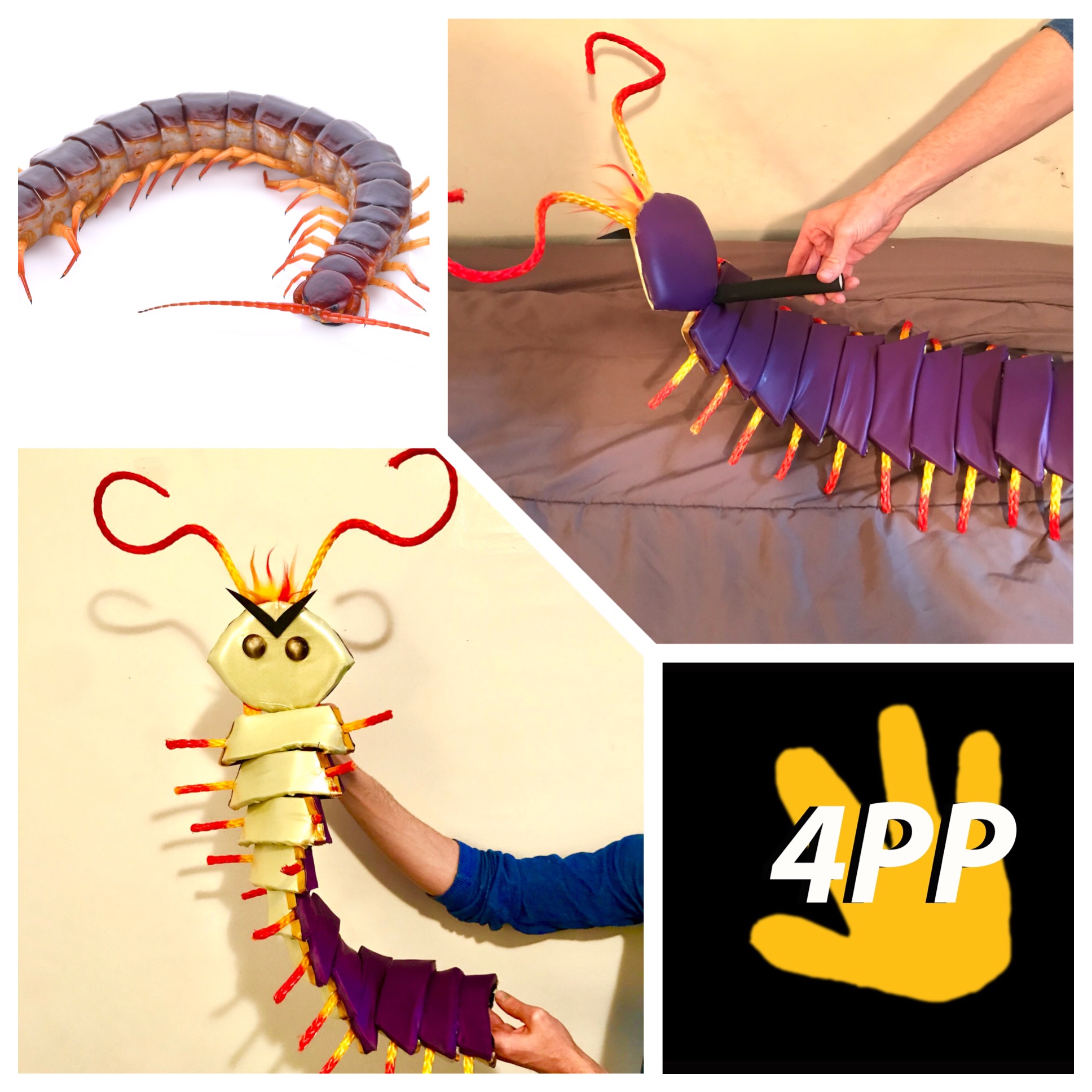 Centipede