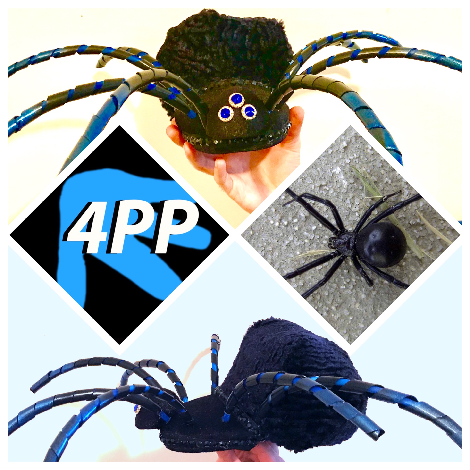 Ms Spider