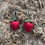 Thumbnail: Pre Order Strawberries Earrings