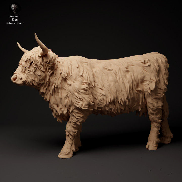 Thumbnail: Highland Cow Standing