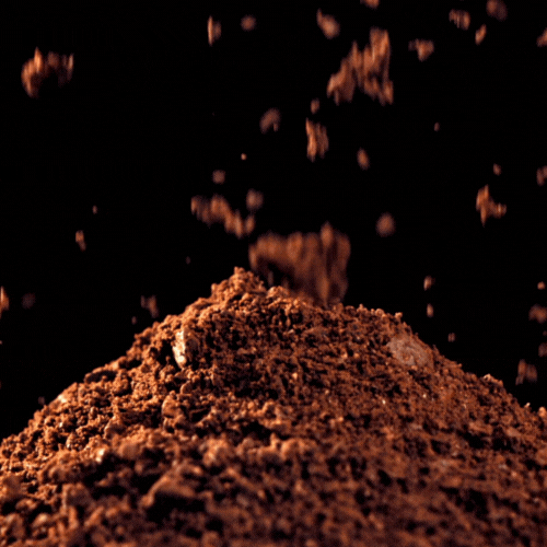 Ground Beans