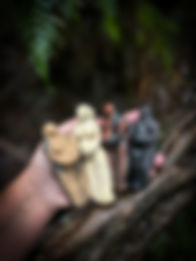 SWW 1.jpeg