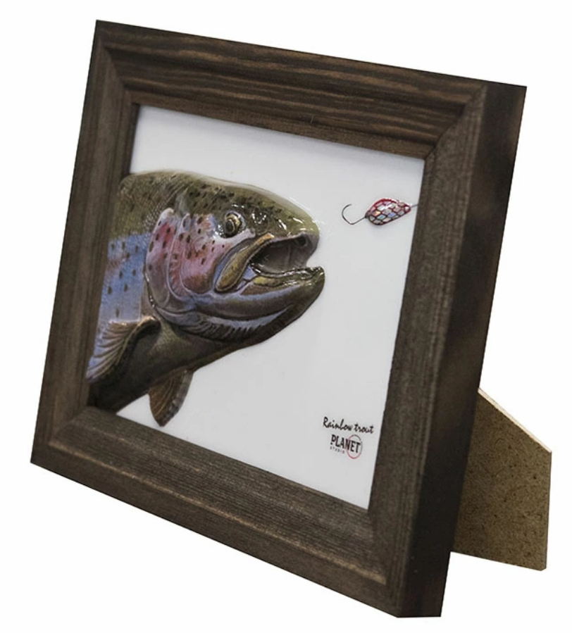 サムネイル： 【渓流シリーズ】レインボートラウト