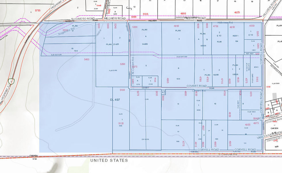 covert area map_edited.jpg