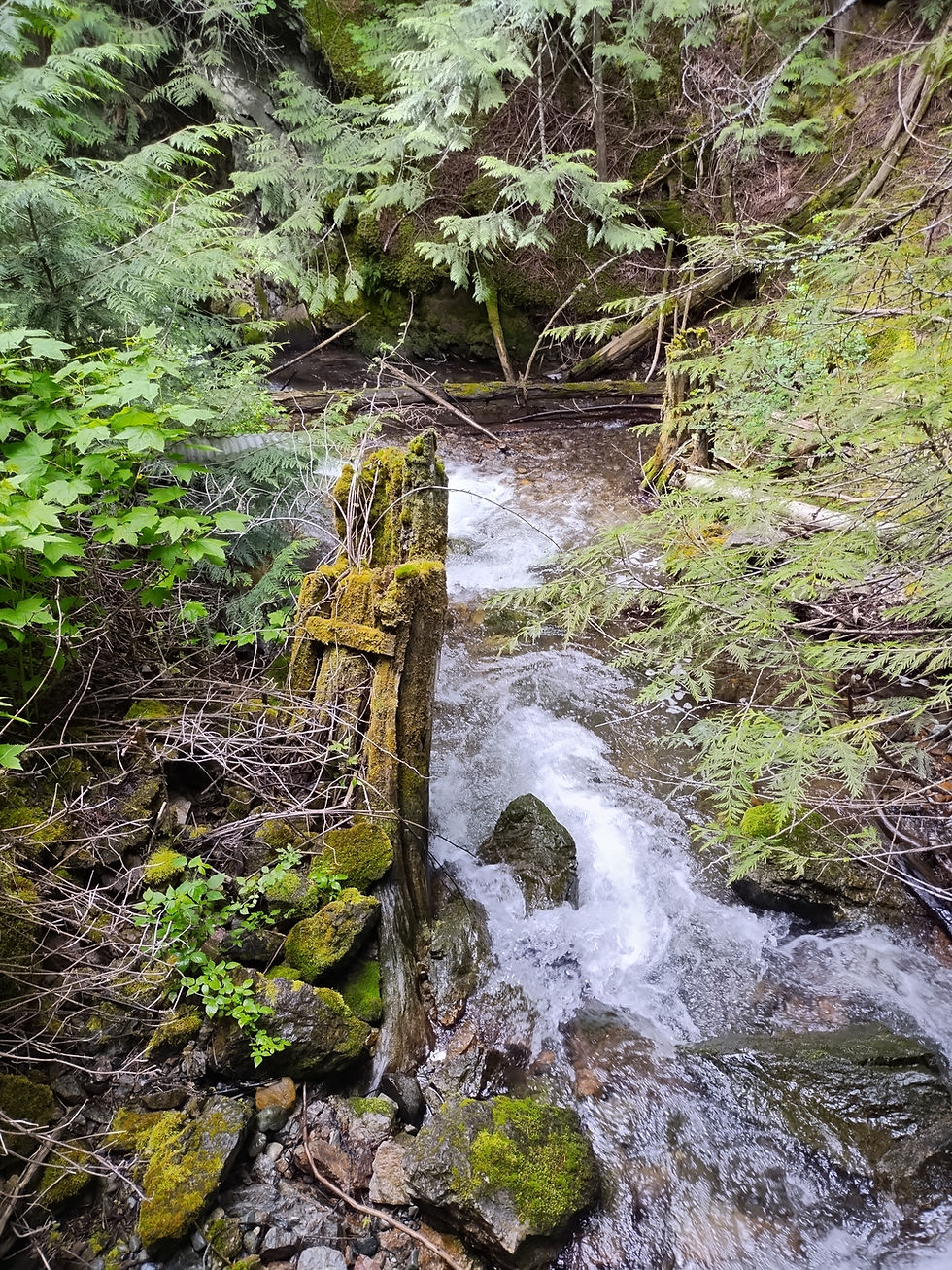 IMG_20240617_101429525_HDR.jpg