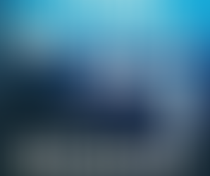 Things We Never Say | Book Review