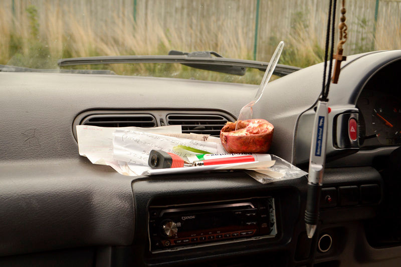 DagmarHradilovaIADT2016 (2).jpg