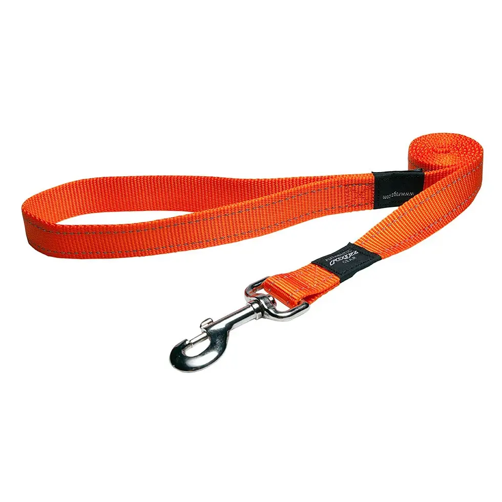 Product: רצועה לכלב כתומה 25 מ"מ
