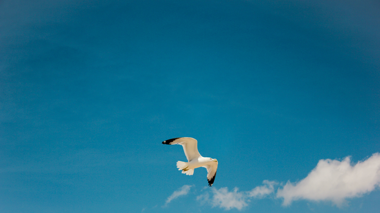 let's pray new sermon series blog