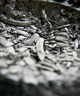 505511B0-9930-45A8-AB06-DF3A667B81F9_1_105_c.jpeg