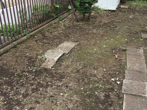 煌く返り花西国分寺 「草むしり」 報告
