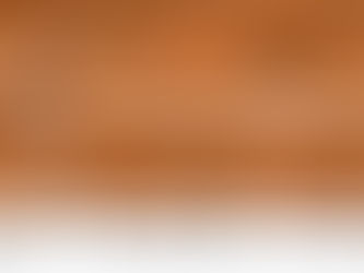 29th Webinar Image