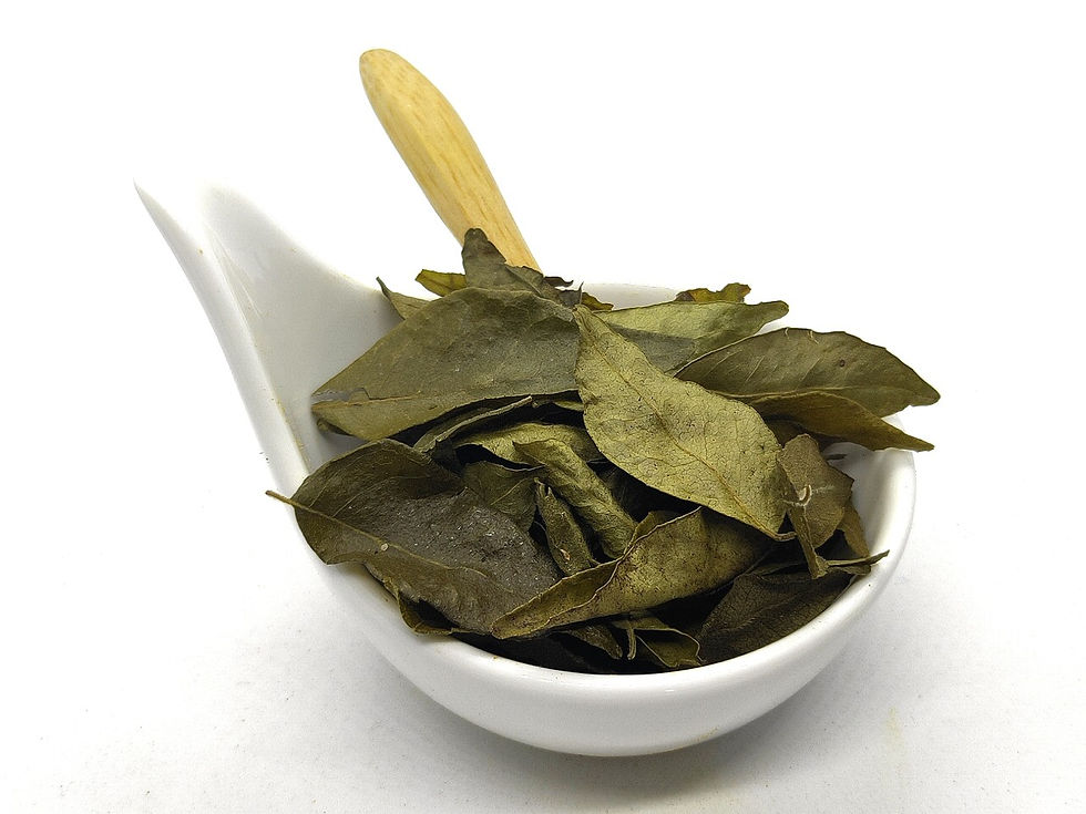 Feuilles de curry/Kaloupilé