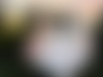 The Flawless Table & Co Bouncy House San Antonio TX