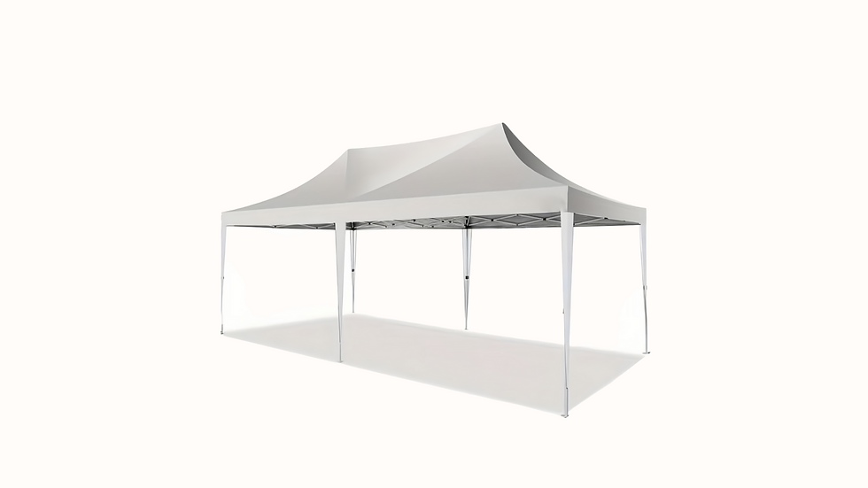 10x20FT Pop up Canopy