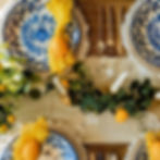 Flawless Luxury Picnic – Dolce & Gabbana Collection Rental in San Antonio, TX