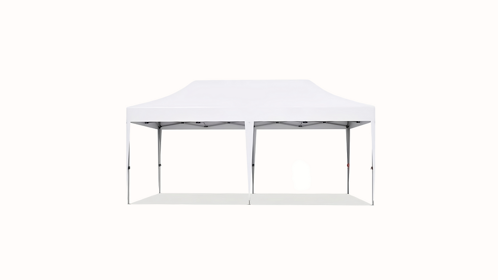 10x20FT Pop up Canopy