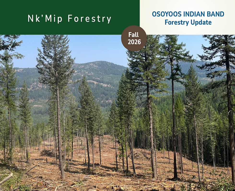Osoyoos Indian Band Highlights Growing Role of Forestry in Fall Newsletter