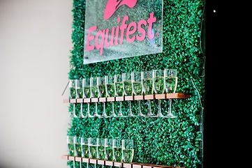 equifest-24-thursday-60 copy Large.jpeg