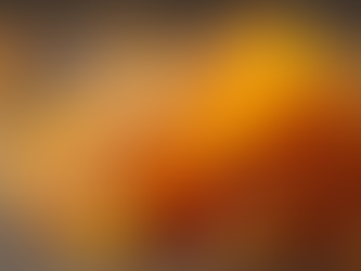 Frankincense Benefits Explained. A Timeless Botanical for Calm, Comfort, and Skin Health