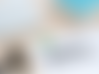 Everything You Need to Know About Customs Clearance for International Shipping