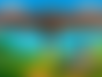 What Are the costs for a dedicated courier for urgent shipments in Bournemouth, Dorset, UK?