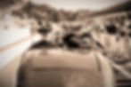 318A7150_edited.jpg