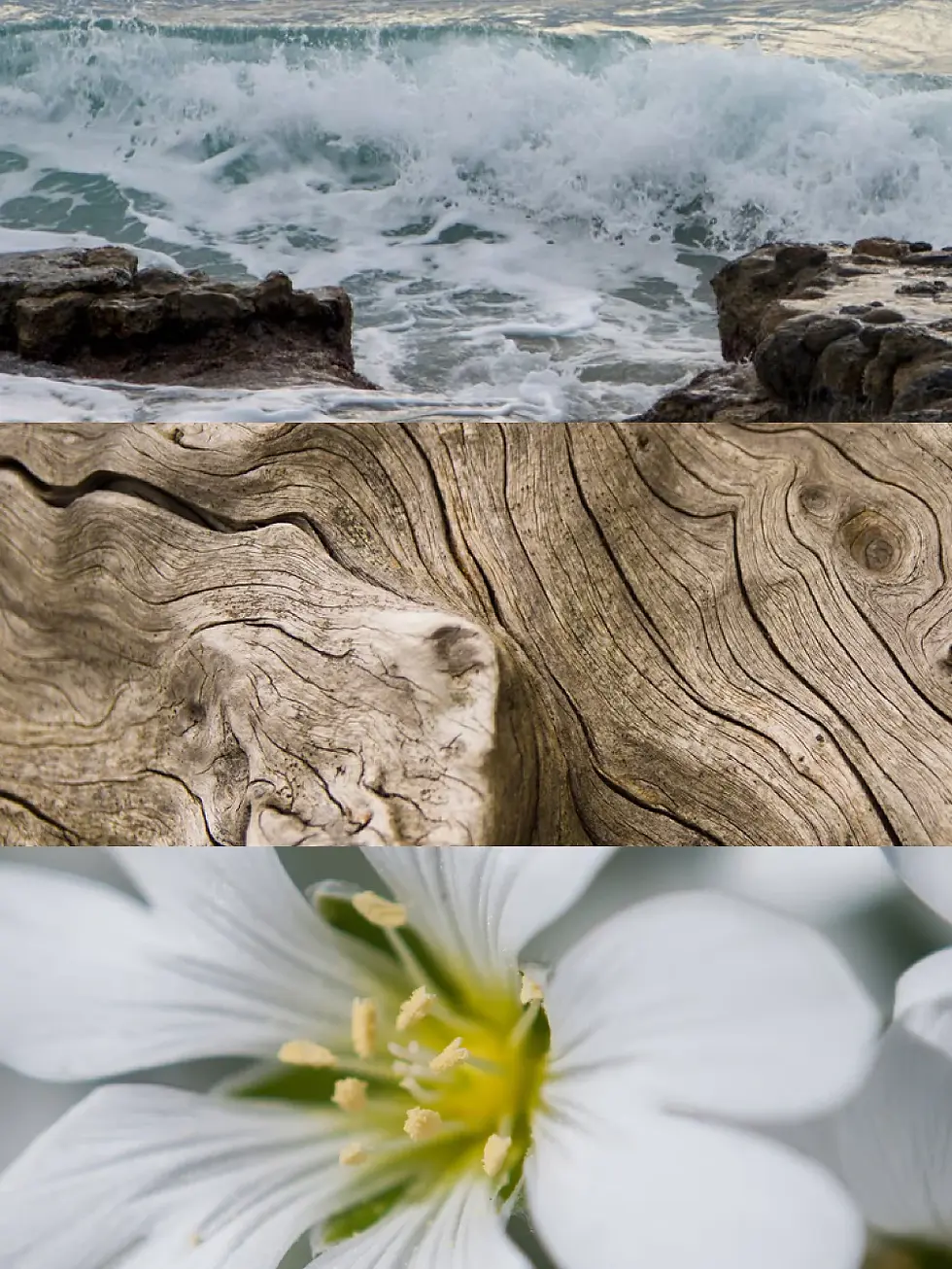 Thumbnail: Beach Eau De Parfum