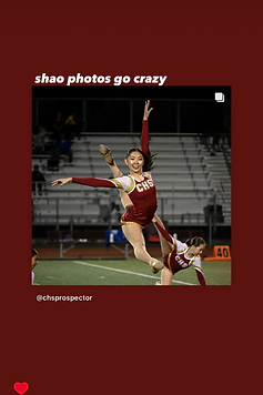 IMG_9991.PNG