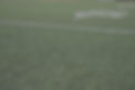 green and white football field_edited.jpg