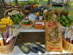 Harvest at Swain Family Farm 2024