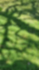 20220414_115454.jpg