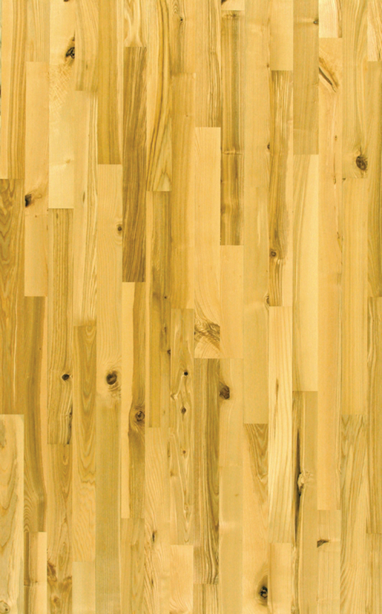 Ash - Variation.jpg