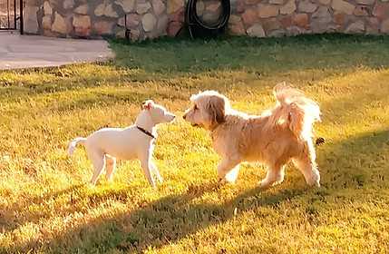 20211010_080646-1_edited.jpg