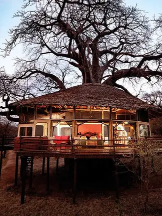 Nydelige destinasjoner. Tretopphytte i Afrika